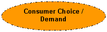 Oval: Consumer Choice / Demand
