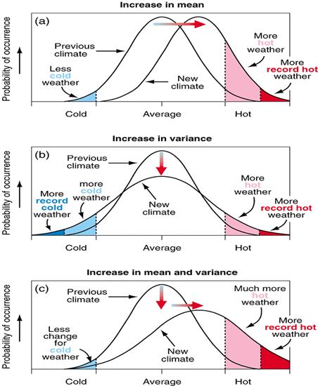 small back pain model