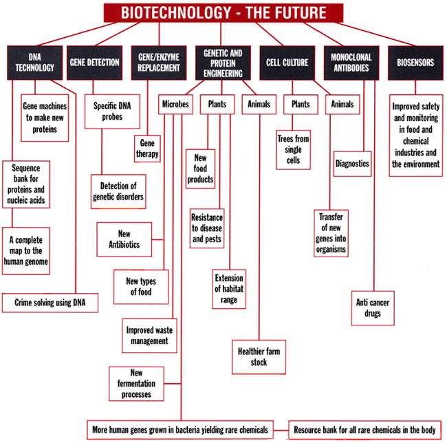 Biotech Future Diagram
