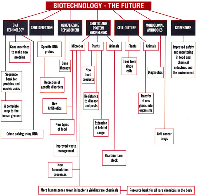 biotech.JPG (159622 bytes)